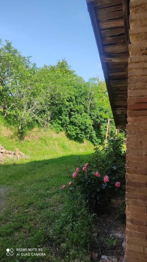Ferme Du Bois Du Pouget Villa La Salvetat-Belmontet Exterior foto